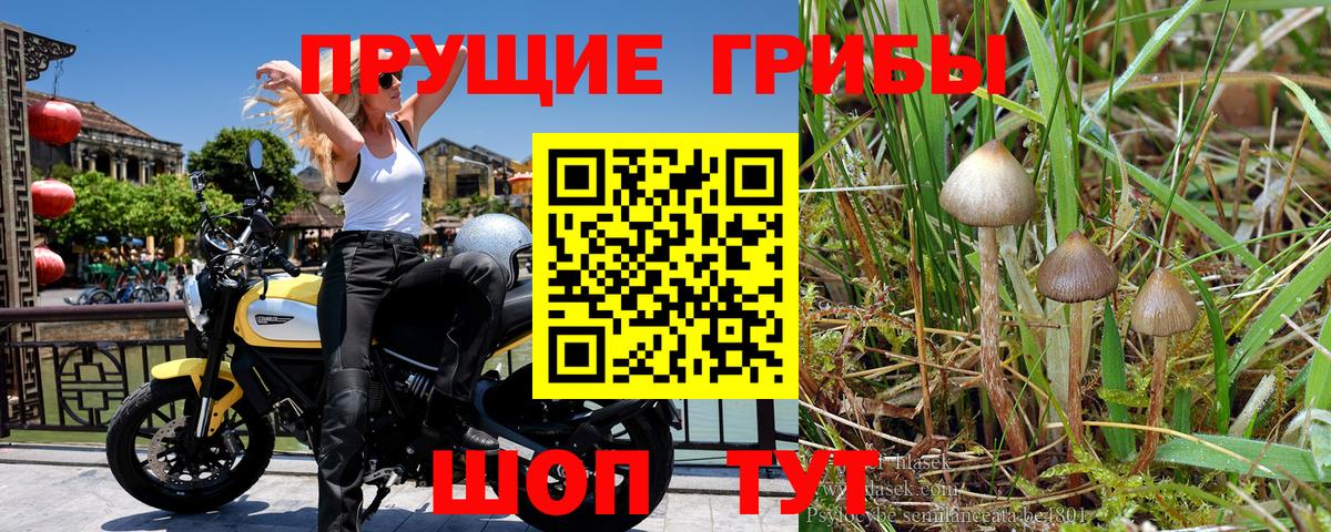 Галлюциногенные грибы мухоморы Лысьва